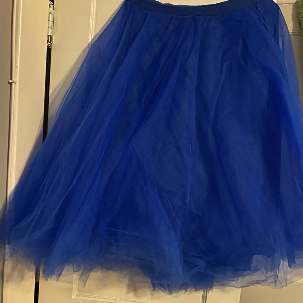 Tulle skirt